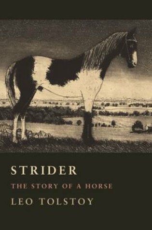 Cover of Strider