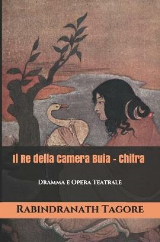 Cover of Il Re della Camera Buia - Chitra