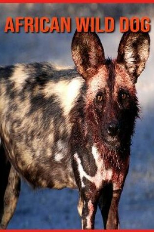 Cover of African wild dog