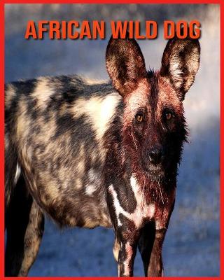 Book cover for African wild dog