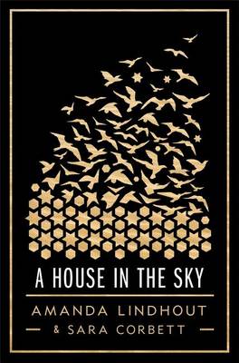 Book cover for A House in the Sky