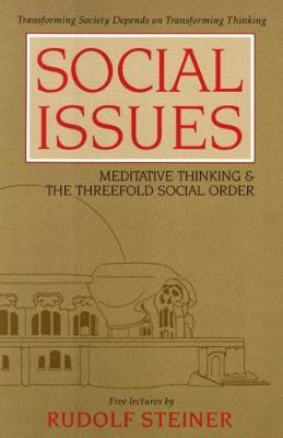 Book cover for Social Issues