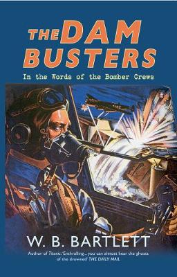 Book cover for The Dam Busters