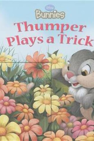 Cover of Good Morning, Thumper!