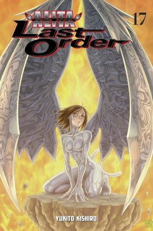 Cover of Battle Angel Alita: Last Order Volume 17