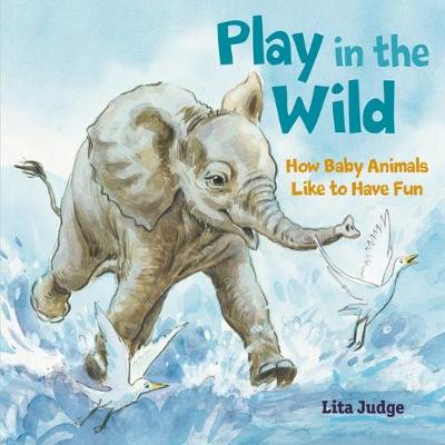 Cover of Play in the Wild