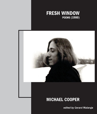 Book cover for Fresh Window