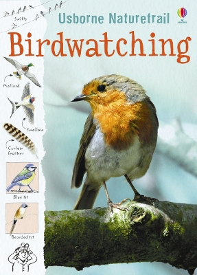 Book cover for Birdwatching