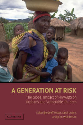 Book cover for A Generation at Risk