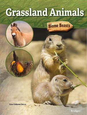 Book cover for Grassland Animals