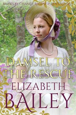 Book cover for Damsel to the Rescue