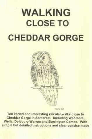 Cover of Walking Close to Cheddar Gorge