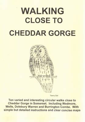 Cover of Walking Close to Cheddar Gorge