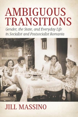 Book cover for Ambiguous Transitions