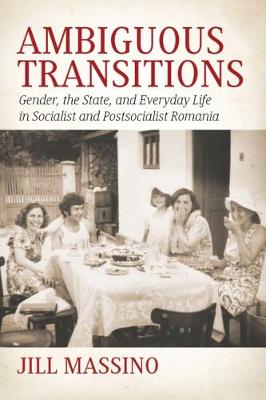 Book cover for Ambiguous Transitions
