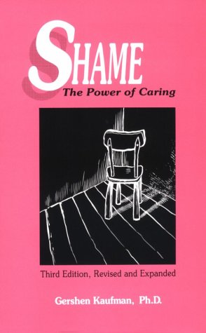 Book cover for Shame