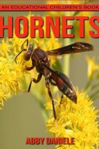 Cover of Hornets! An Educational Children's Book about Hornets with Fun Facts & Photos