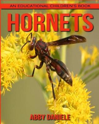 Book cover for Hornets! An Educational Children's Book about Hornets with Fun Facts & Photos
