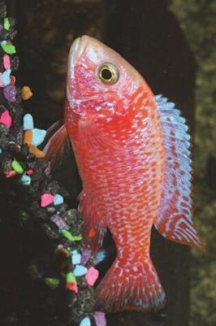 Cover of Strawberry Red Peacock Cichlid Journal