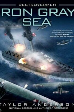 Cover of Iron Gray Sea