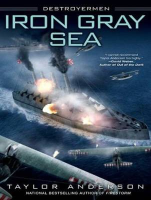 Book cover for Iron Gray Sea