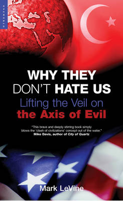 Book cover for Why They Don't Hate Us