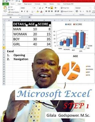Book cover for Microsoft Excel, STEP 1