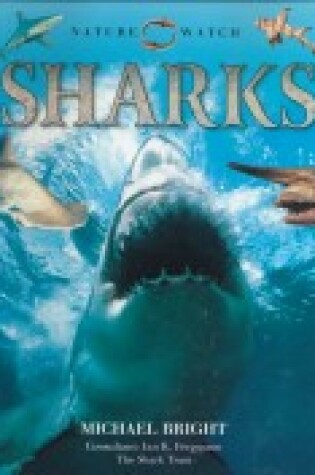 Cover of Nature Watch: Sharks