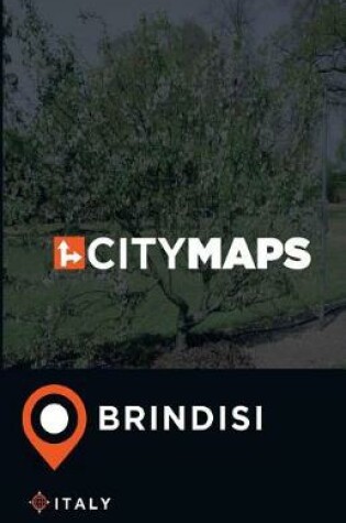 Cover of City Maps Brindisi Italy