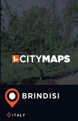 Book cover for City Maps Brindisi Italy