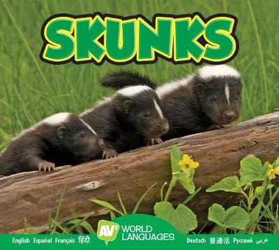 Book cover for Skunks