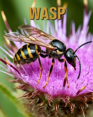 Cover of Wasp