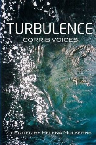 Cover of Turbulence