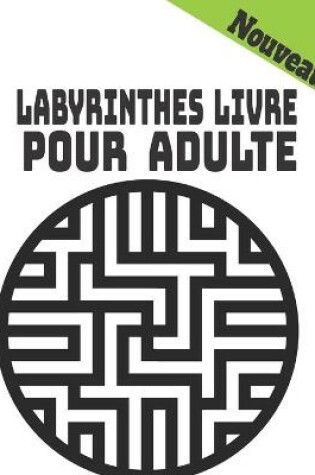 Cover of Labyrinthes Livre Pour Adulte