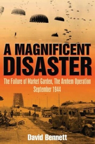 Cover of A Magnificent Disaster