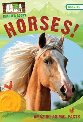 Book cover for Horses!: