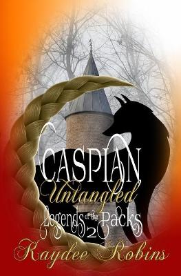Book cover for Caspian Untangled