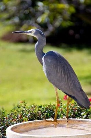 Cover of White-Faced Heron Bird Journal