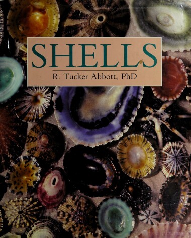 Book cover for Shells