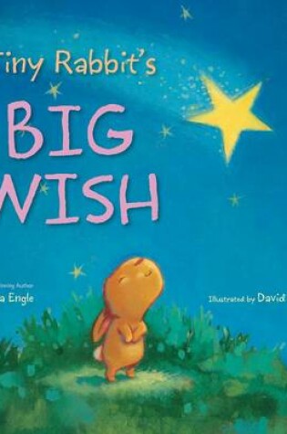 Cover of Tiny Rabbit's Big Wish