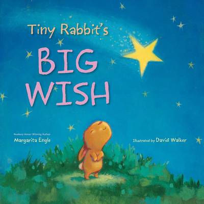 Book cover for Tiny Rabbit's Big Wish