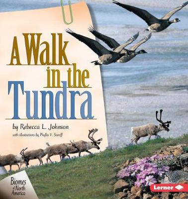 Book cover for A Walk in the Tundra