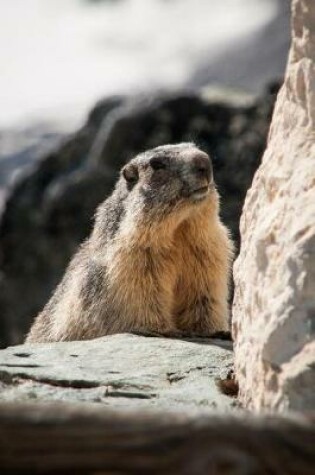 Cover of Marmot in the Mountains Animal Journal