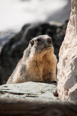 Book cover for Marmot in the Mountains Animal Journal