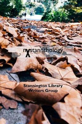 Book cover for nXstannthology