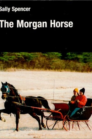 Cover of The Morgan Horse