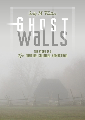 Book cover for Ghost Walls