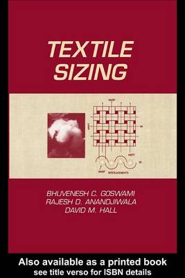 Book cover for Textile Sizing