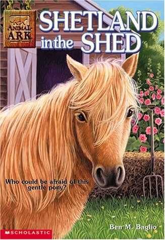 Book cover for Shetland in the Shed