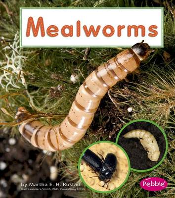 Book cover for Mealworms